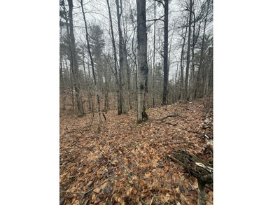 Lovely level wooded lot overlooking a ravine. Quiet, peaceful - photo 9