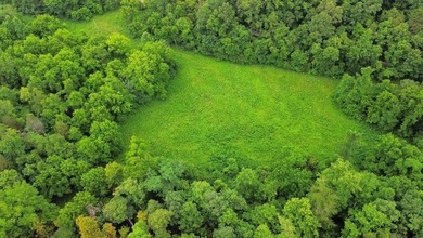 Your dream land awaits-122.38 UNRESTRICTED acres of opportunity - photo 29