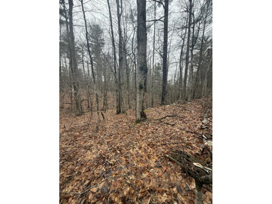 Lovely level wooded lot overlooking a ravine. Quiet, peaceful - photo 10