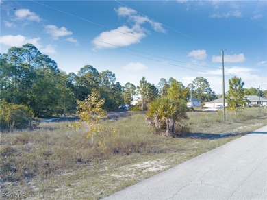 Lehigh Acres Area Lot For Sale in Lehigh Acres Florida