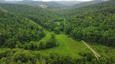 Your dream land awaits-122.38 UNRESTRICTED acres of opportunity - photo 31