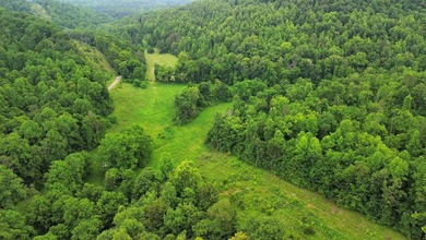 Your dream land awaits-122.38 UNRESTRICTED acres of opportunity - photo 32