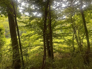 Your dream land awaits-122.38 UNRESTRICTED acres of opportunity - photo 33