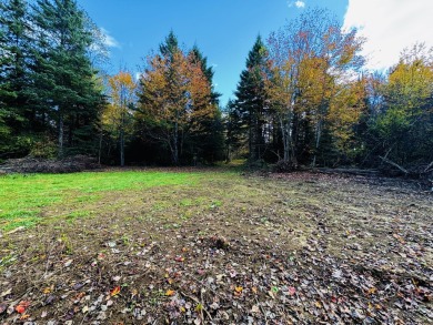  Acreage For Sale in Dexter Maine