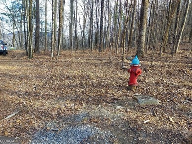 High elevation building lot with a great view at the top of Wild - photo 1