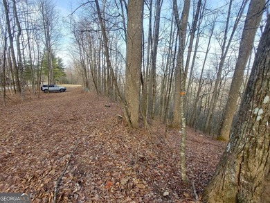 High elevation building lot with a great view at the top of Wild - photo 2