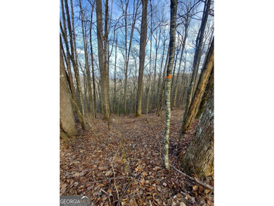 High elevation building lot with a great view at the top of Wild - photo 3