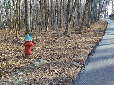 High elevation building lot with a great view at the top of Wild - photo 4