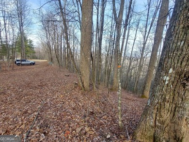 High elevation building lot with a great view at the top of Wild - photo 5