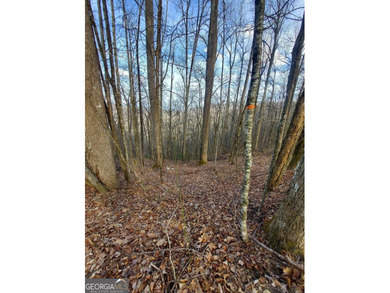 High elevation building lot with a great view at the top of Wild - photo 6