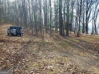 High elevation building lot with a great view at the top of Wild - photo 8