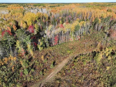 104.95-acres with approximately 3,000-ft of beautiful high - photo 5
