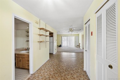 BRIGHT SUNNY UPPER BRISTOL. 1200 SQ LIVING SPACE. LARGE KITCHEN - photo 14