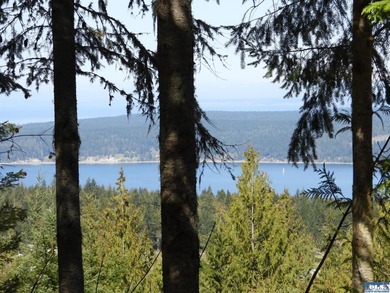 Lots of trees and privacy, in this gated community! Remove some - photo 14