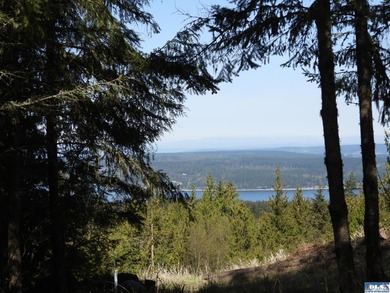 Lots of trees and privacy, in this gated community! Remove some - photo 15