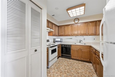 BRIGHT SUNNY UPPER BRISTOL. 1200 SQ LIVING SPACE. LARGE KITCHEN - photo 17
