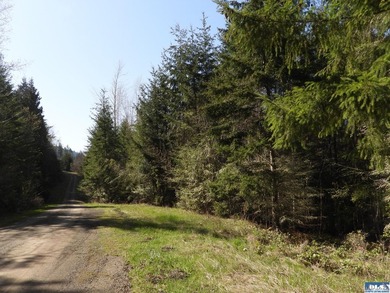 Lots of trees and privacy, in this gated community! Remove some - photo 17