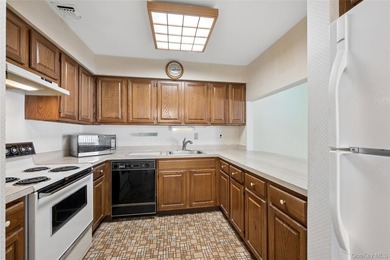 BRIGHT SUNNY UPPER BRISTOL. 1200 SQ LIVING SPACE. LARGE KITCHEN - photo 18