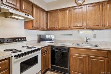 BRIGHT SUNNY UPPER BRISTOL. 1200 SQ LIVING SPACE. LARGE KITCHEN - photo 19