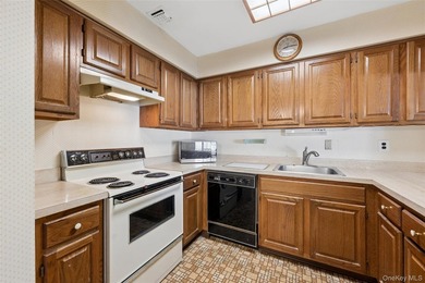 BRIGHT SUNNY UPPER BRISTOL. 1200 SQ LIVING SPACE. LARGE KITCHEN - photo 20