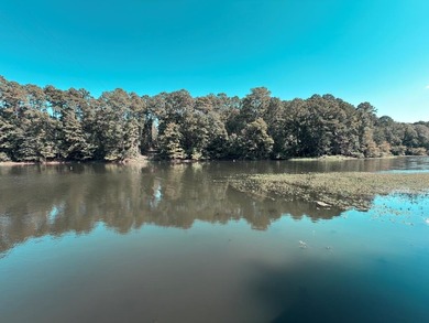 Toledo Bend Lake Home For Sale in Hemphill Texas