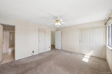 BRIGHT SUNNY UPPER BRISTOL. 1200 SQ LIVING SPACE. LARGE KITCHEN - photo 26