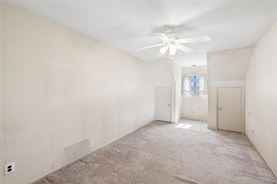 BRIGHT SUNNY UPPER BRISTOL. 1200 SQ LIVING SPACE. LARGE KITCHEN - photo 29