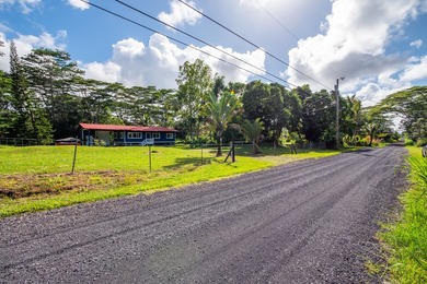 Tucked away on a lush 1-acre lot in Hawaiian Paradise Park, this - photo 30