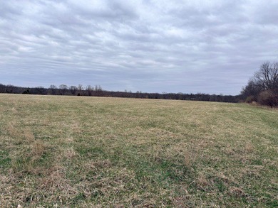 (private lake, pond, creek) Acreage For Sale in Plano Illinois