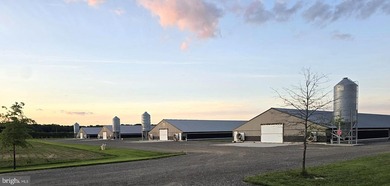 (private lake, pond, coastal) Acreage For Sale in Denton Maryland