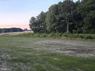 Poultry farm features a total of 60.57 acres (40 acres tillable - photo 6