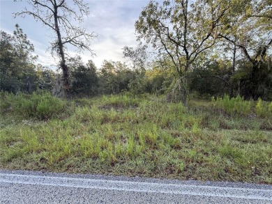 Lake Lot Sale Pending in Dunnellon, Florida