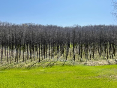 (private lake, pond, creek) Commercial For Sale in Dillsboro Indiana