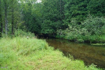Little Muskegon River Lot For Sale in Canadian Lakes Michigan