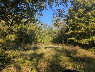 Lake Lot For Sale in Shell Knob, Missouri