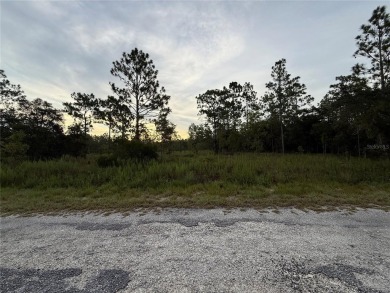 Lake Lot Sale Pending in Dunnellon, Florida