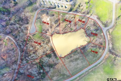 Lake Lot For Sale in Pittsburg, Texas