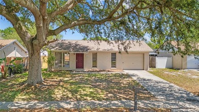 Back On The Market! Buyers Financing Fell Through! Welcome to - photo 3