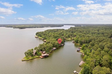 Gorgeous two-story lake home with both cove views and huge main - photo 7