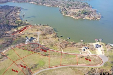 Welcome to South Shores at Lake Bob Sandlin. One of the newest - photo 8