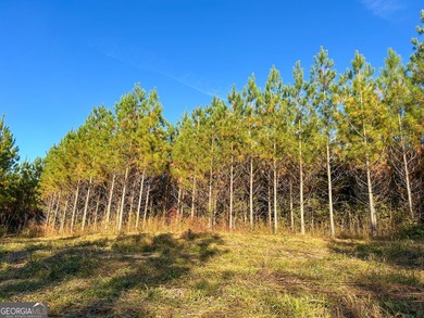 Welcome to 49+ acres on Jordan Road in eastern Harris County - photo 1