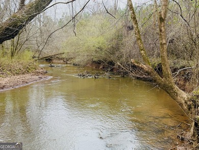 Welcome to 49+ acres on Jordan Road in eastern Harris County - photo 7