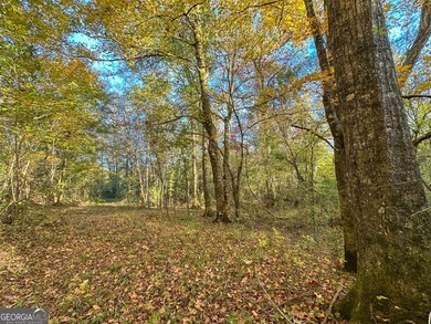 Welcome to 49+ acres on Jordan Road in eastern Harris County - photo 8