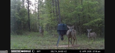 Welcome to 49+ acres on Jordan Road in eastern Harris County - photo 9