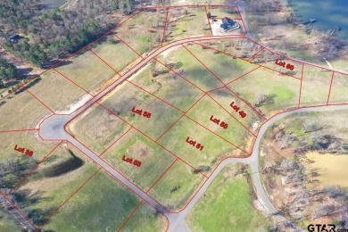 Lake Lot For Sale in Pittsburg, Texas