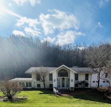 (private lake, pond, creek) Home For Sale in Heidrick Kentucky