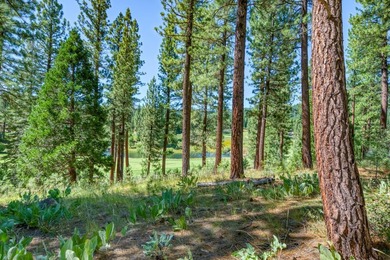 Panoramic views of the 18th hole and golf course fairway - photo 11