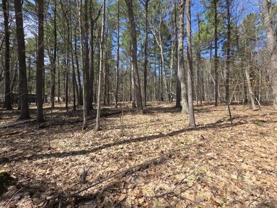 Beautiful level building lot in Ausable Acres. Electric - photo 1
