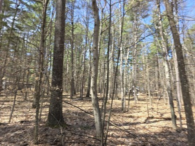 Beautiful level building lot in Ausable Acres. Electric - photo 2