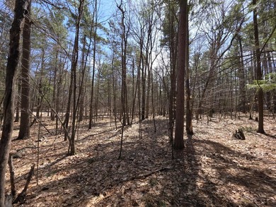 Beautiful level building lot in Ausable Acres. Electric - photo 3